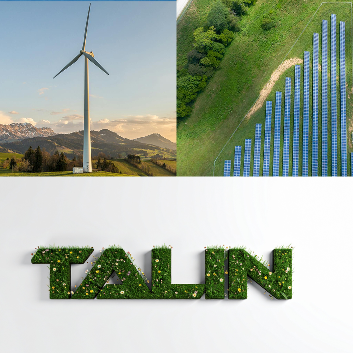 Talin Image
